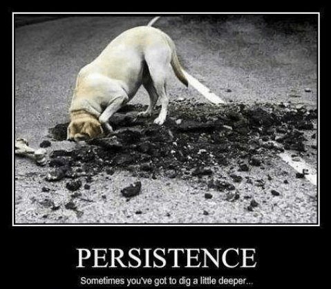 persistence-sometimes-youve-got-to-dig-a-little-deeper-14071571